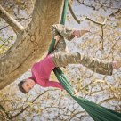 Up In A Tree